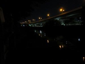 Img_0100_medium