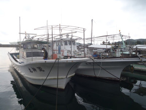 P6030082_medium