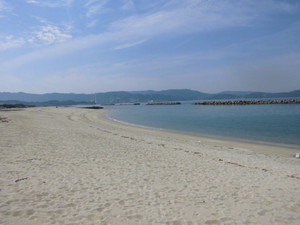 Cimg0125_medium