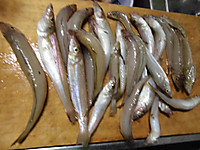 Cimg0127_medium_2