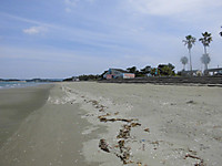 Cimg0130_medium