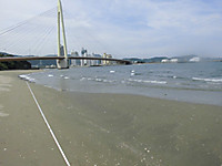Cimg0132_medium_2