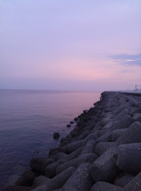 Img00429