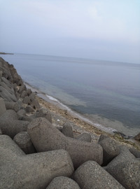 Img00431_2