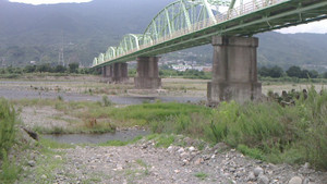 Nec_0135_medium