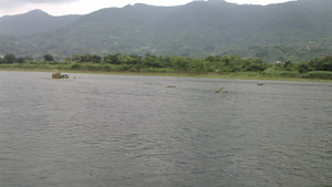 Nec_0136_medium