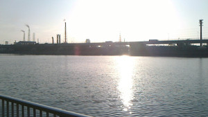 Nec_0145_medium