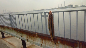 P1020803