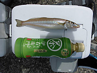 Cimg0136_medium_2