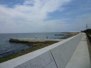 P1020815