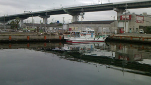 Nec_0152_medium