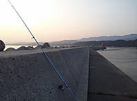 Img00454