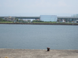 Img_1497_medium