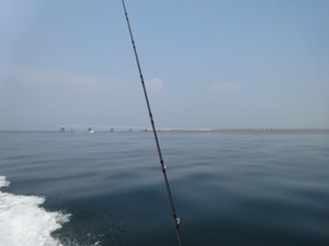 Dsc01331_medium