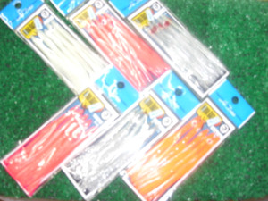 Cimg5663