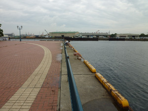 P1020875