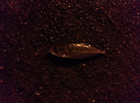 Img00480 Img00480