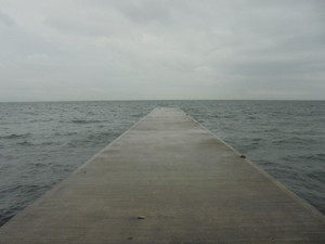 Dsc00021_medium