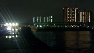 Nec_0197_medium