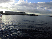 Photo_4