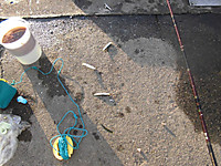 Photo_8