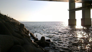 Nec_0209_medium