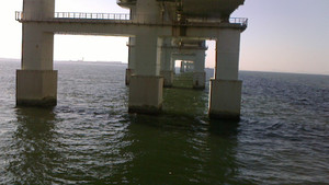 Nec_0211_medium