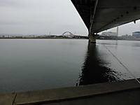 Cimg0181_medium