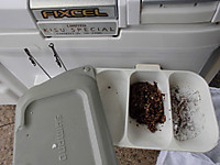 Cimg0184_medium