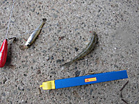 Cimg0191_medium