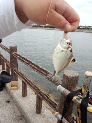 Img_20150930_142312143_medium