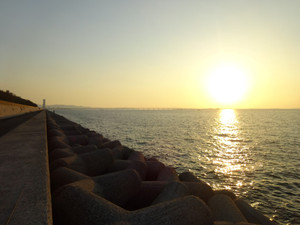 Dsc01390_medium