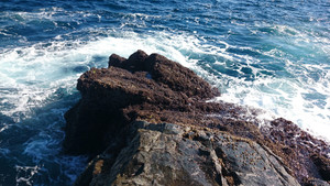 Dsc_0293_large