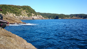 Dsc_0302_large