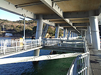 Img00579