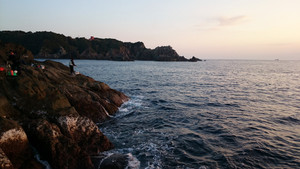 Dsc_0343_large