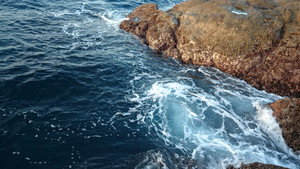 Dsc_0344_large