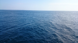 Dsc_0351_large