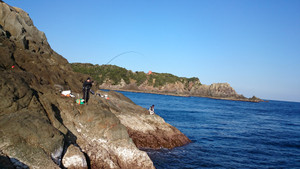 Dsc_0354_large_2