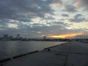 Dsc00110_medium