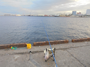 Dsc00113_medium_3