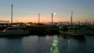 Nec_0326_medium