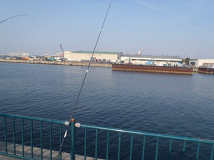 P2280783_medium