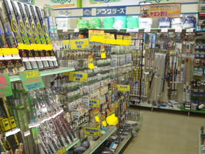 P3010106_medium_2
