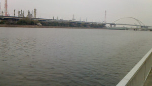 Nec_0423_medium