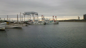 Nec_0431_medium