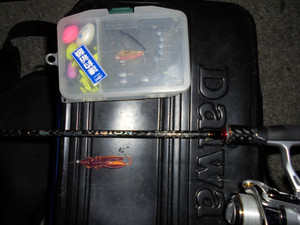 Dsc00136_medium