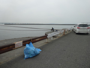 Dsc01553_large_3