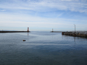Img_1667_medium_2