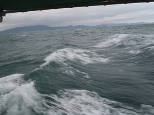 P4110018_medium